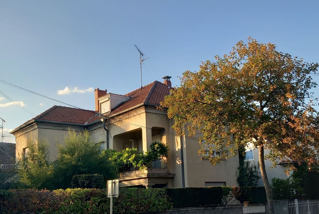 house-1
